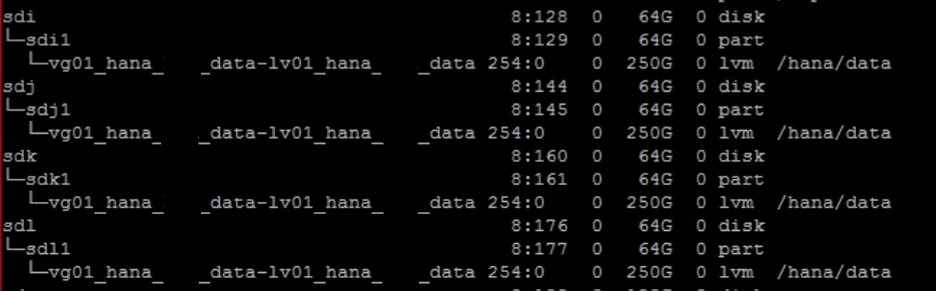 Disk verification for hanadata