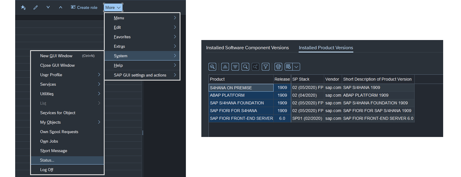 Understanding SAP & Its Versions