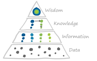 Wisdom, Knowledge, Information, Data